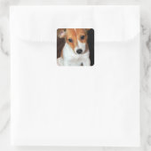 Jack Russell Terrier Puppy Dog Stickers (Tas)