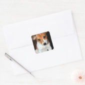 Jack Russell Terrier Puppy Dog Stickers (Envelop)