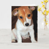 Jack Russell Terrier Puppy Dog Wenskaart Kaart (Gele Bloem)