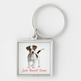Jack Russell Terrier Puppy Honden Sleutelhanger