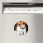 Jack Russell Terrier Puppy Hondenmagneet Magneet (Insitu (Vaatwasser))