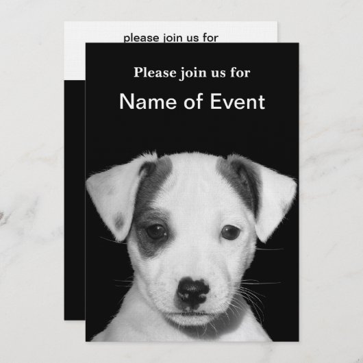 Jack Russell Terrier Puppy Kaart (Voorkant / Achterkant)