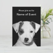 Jack Russell Terrier Puppy Kaart (Staand voorkant)