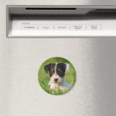 Jack Russell Terrier puppy Magneet (Insitu (Vaatwasser))
