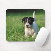 Jack Russell Terrier puppy Muismat (Met muis)