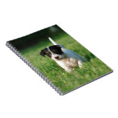 Jack Russell Terrier puppy Notitieboek (Rechterzijde)
