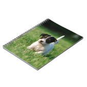 Jack Russell Terrier puppy Notitieboek (Linkerzijde)