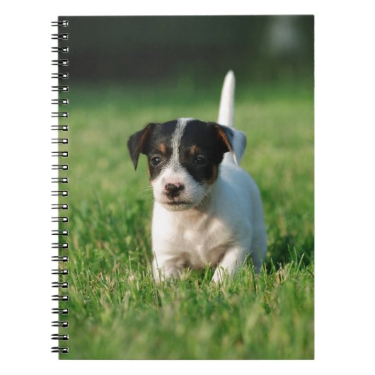 Jack Russell Terrier puppy Notitieboek (Voorkant)