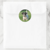 Jack Russell Terrier puppy Ronde Sticker (Tas)