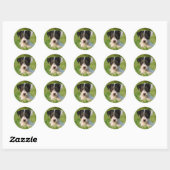 Jack Russell Terrier puppy Ronde Sticker (Vel)