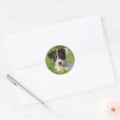 Jack Russell Terrier puppy Ronde Sticker (Envelop)