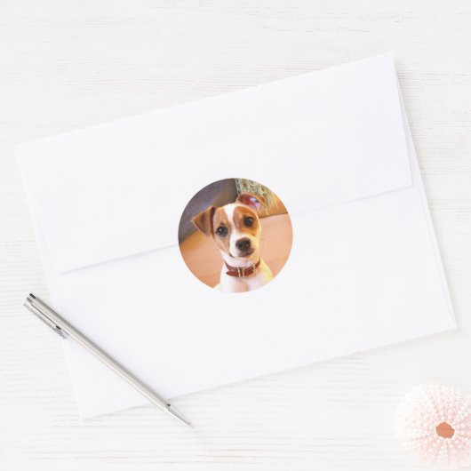Jack Russell Terrier puppy stickers (Envelop)