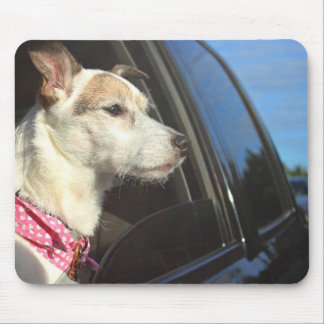 Jack Russell Terrier Ride to the Beach Mousepad Muismat