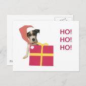Jack Russell Terrier Santa Hat Feestdagenkaart (Voorkant / Achterkant)