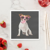 Jack Russell Terrier Servet (Insitu)