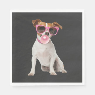 Jack Russell Terrier Servet