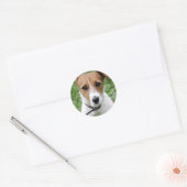 Jack Russell Terrier Sticker (Envelop)