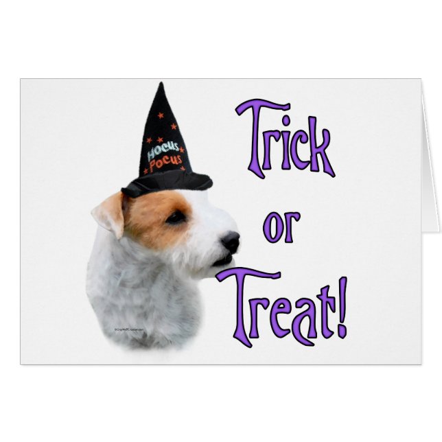 Jack Russell Terrier Trick (Voorkant Horizontaal)