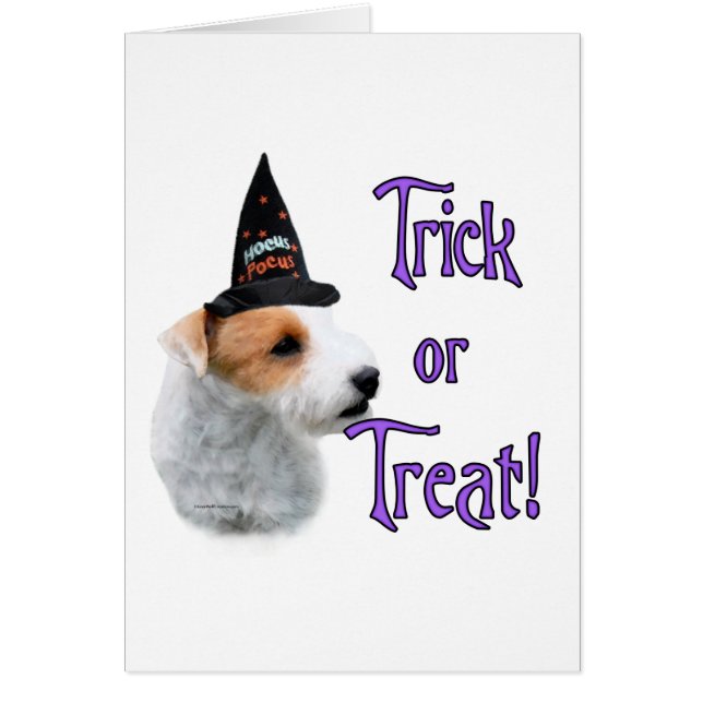 Jack Russell Terrier Trick (Voorkant)