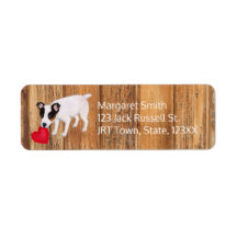 Jack Russell Terrier Valentijn Adres Wood