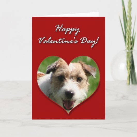 Jack Russell Terrier Valentijnsdag Card Feestdagen Kaart (Voorkant)