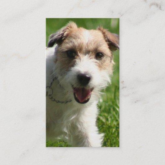 Jack Russell Terrier visitekaartjes (Voorkant)
