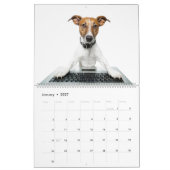 Jack Russell Terriërs Kalender (Jan 2027)