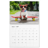 Jack Russell Terriërs Kalender (Mar 2027)