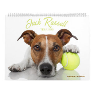 Jack Russell Terriërs Kalender