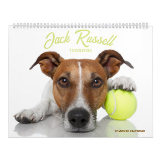 Jack Russell Terriërs Kalender