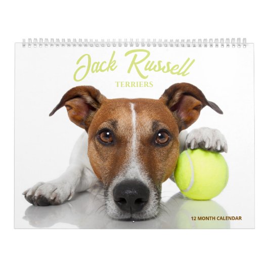 Jack Russell Terriërs Kalender (Hoes)