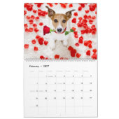Jack Russell Terriërs Kalender (Feb 2027)