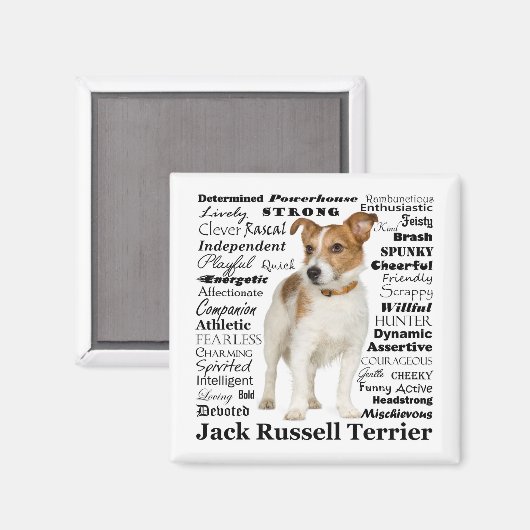 Jack Russell Traits Magnet (Voorkant / Achterkant)