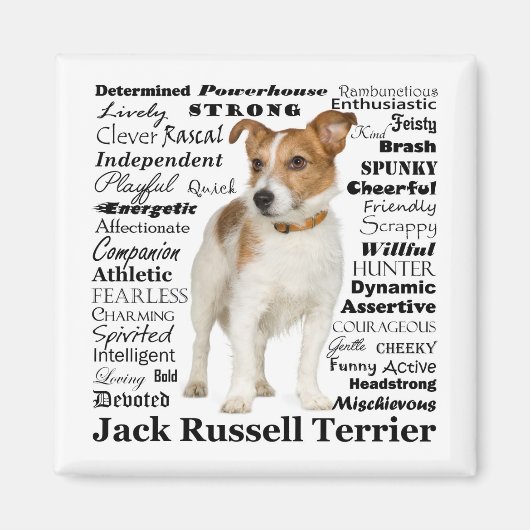 Jack Russell Traits Magnet (Voorkant)