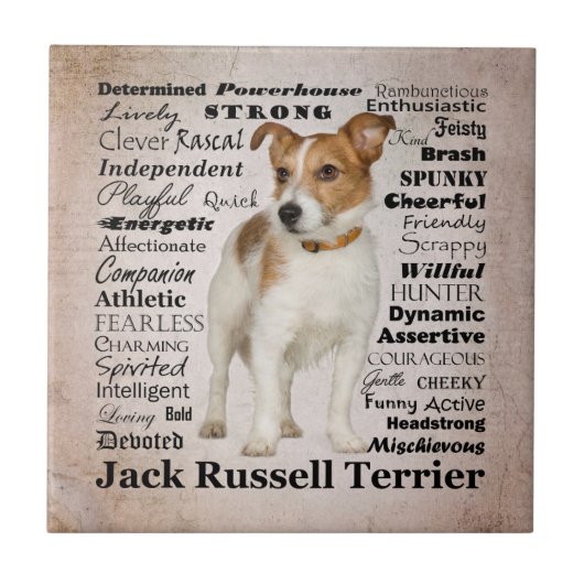 Jack Russell Traits Tile Tegeltje (Voorkant)