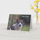 Jack Russell verjaardagskaart Kaart (Gele Bloem)
