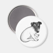 Jack Russell Welpe 10 Wochen alt Magneet (Voorkant / Achterkant)