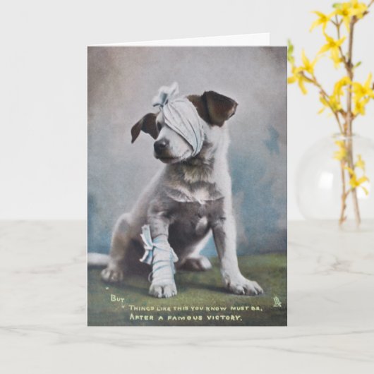 Jack Russell wordt snel beter Kaart (Gele Bloem)