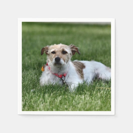 Jack Square Paper-Onderzetter Servet (Voorkant)