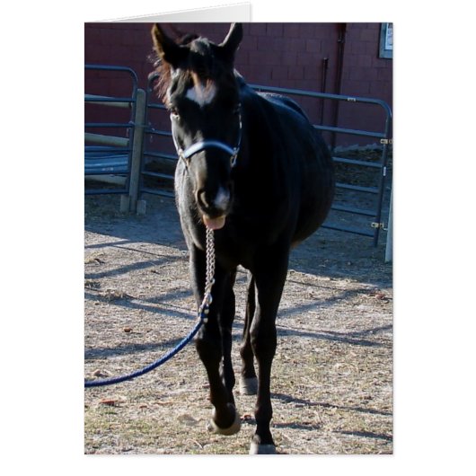 Jack Sticks zijn tong uit (Voorkant)