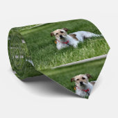 Jack Stropdas (Opgerold)