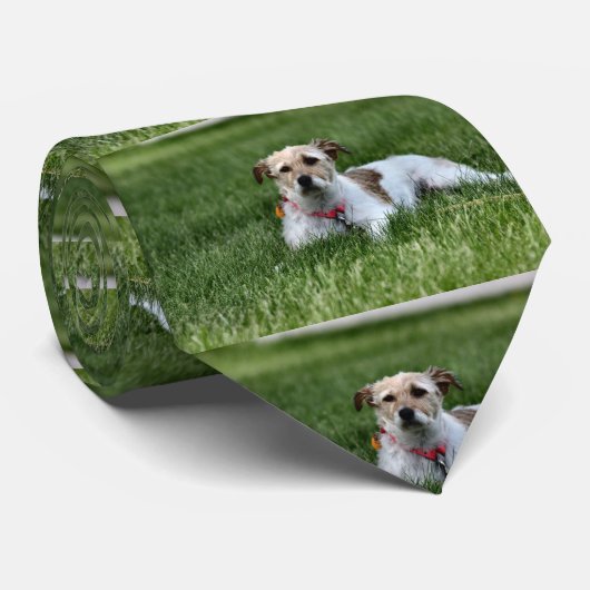 Jack Stropdas (Opgerold)