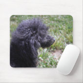 Jack T. Poodle Muismat (Met muis)