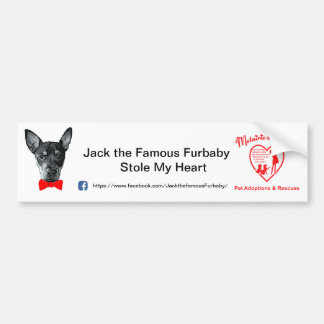 Jack the Famous Furbaby Bumpersticker
