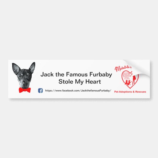 Jack the Famous Furbaby Bumpersticker (Voorkant)