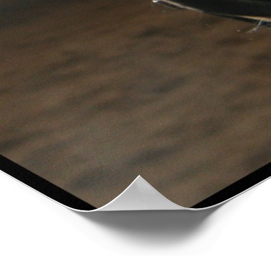 Jack the Quarter Horse Poster (Hoek)