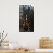 Jack the Quarter Horse Poster (Keuken)