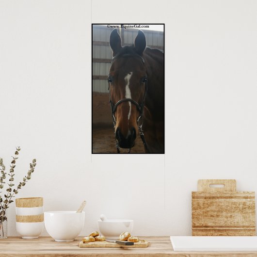 Jack the Quarter Horse Poster (Keuken)