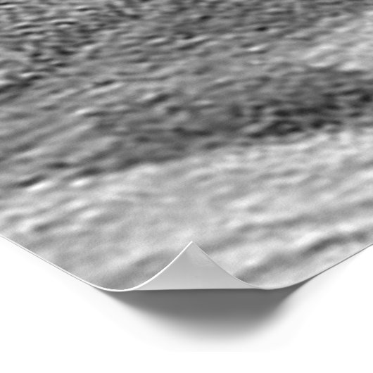 Jack the Ripper the Whitechapel Murderer Poster (Hoek)