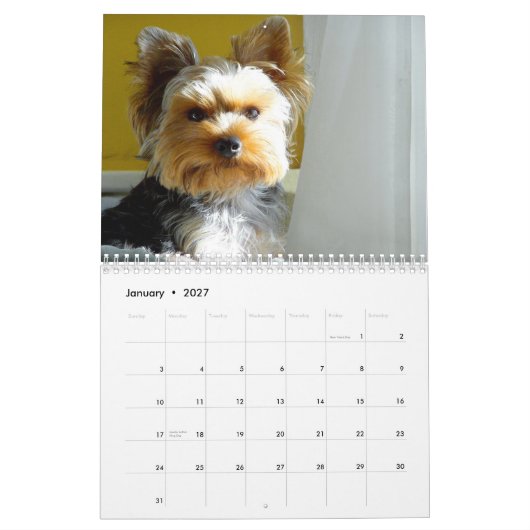 "Jack" the Yorkie - Agenda 2014 Kalender (Jan 2027)